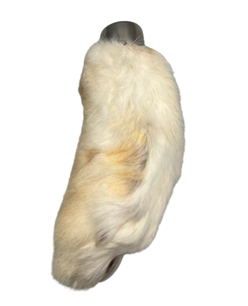 Lucky Rabbit's Foot